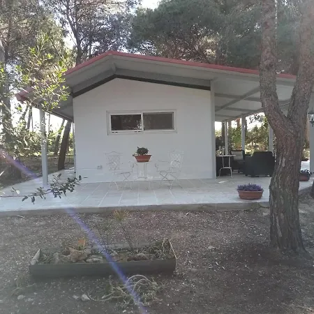 La Casa Nella Pineta